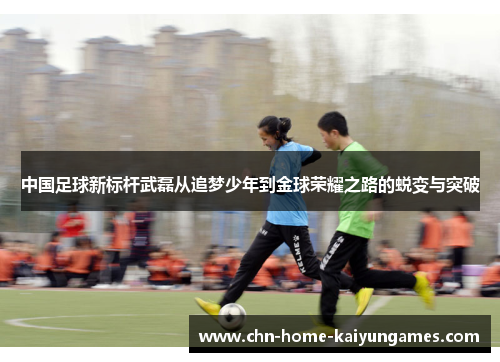 中国足球新标杆武磊从追梦少年到金球荣耀之路的蜕变与突破