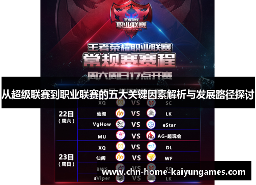 从超级联赛到职业联赛的五大关键因素解析与发展路径探讨