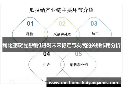 利比亚政治进程推进对未来稳定与发展的关键作用分析