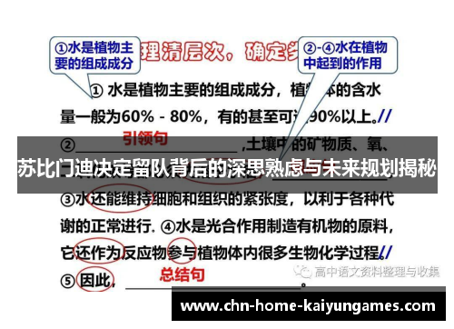 苏比门迪决定留队背后的深思熟虑与未来规划揭秘