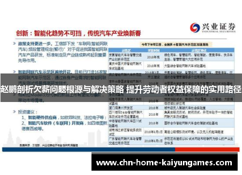 赵鹏剖析欠薪问题根源与解决策略 提升劳动者权益保障的实用路径