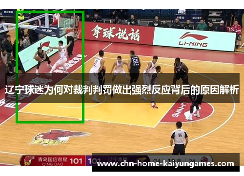 辽宁球迷为何对裁判判罚做出强烈反应背后的原因解析