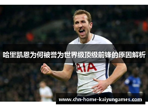 哈里凯恩为何被誉为世界级顶级前锋的原因解析