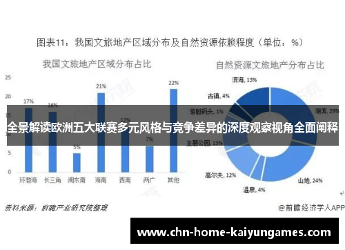 全景解读欧洲五大联赛多元风格与竞争差异的深度观察视角全面阐释